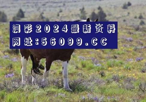 2023澳门资料大全免费软件,设计策略快速解答_整版DKJ656.74