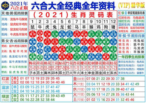 澳门一肖一码_中一肖,设计策略快速解答_整版DKJ656.74