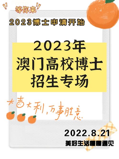 2024年11月26日 第2页