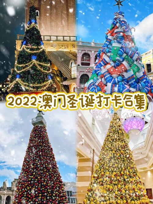 2024年11月30日