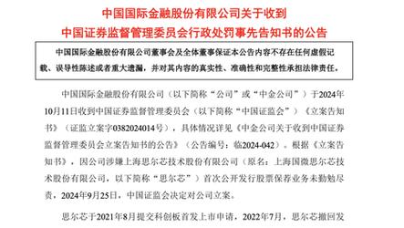 澳门资料大全+正版资料2024,设计策略快速解答_整版DKJ656.74