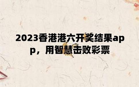 2024年12月2日 第8页