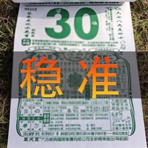 2022澳门资料大全正版资料免费下载,设计策略快速解答_整版DKJ656.74