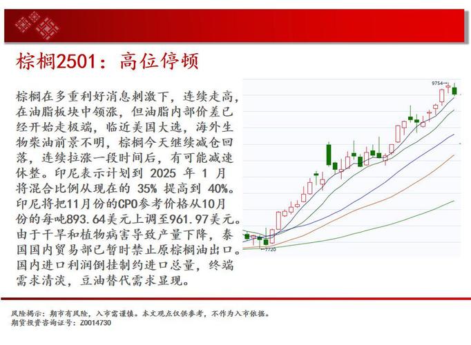 别叫我酒神在线观看高清免费完整版,绝对策略计划研究_社交版40.12.0