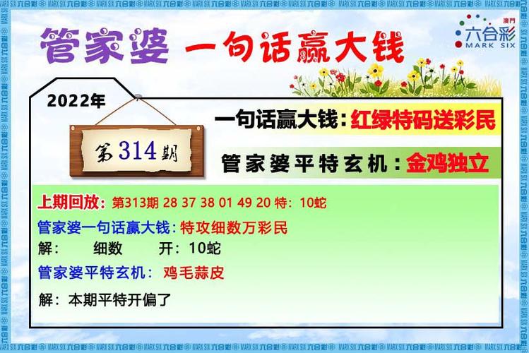 澳门49开奖结果2021年,设计策略快速解答_整版DKJ656.74