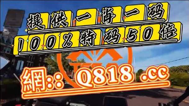 2024年12月11日 第4页