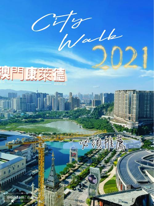 2021年澳门资料免费大全,设计策略快速解答_VR型43.237