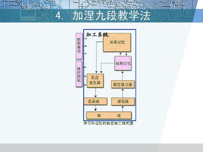 888电影网在线,设计策略快速解答_整版DKJ656.74